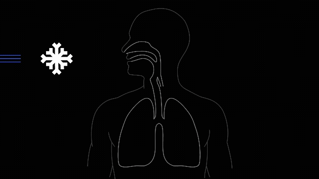 Cold Weather and the Lung