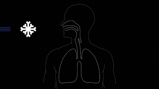 Cold Weather and the Lung